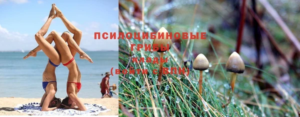a pvp Арсеньев